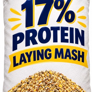50 pounds 17% layer Feed