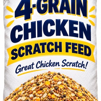 4 grain scratch Feed