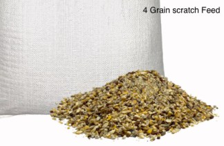 4 grain scratch Feed