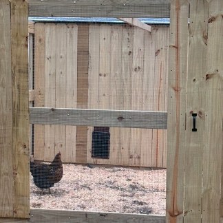 Chicken coop cleaning