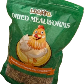 LUCKYQ DRIED MEALWORMS