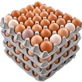 4-flat (120)farm fresh cage free eggs